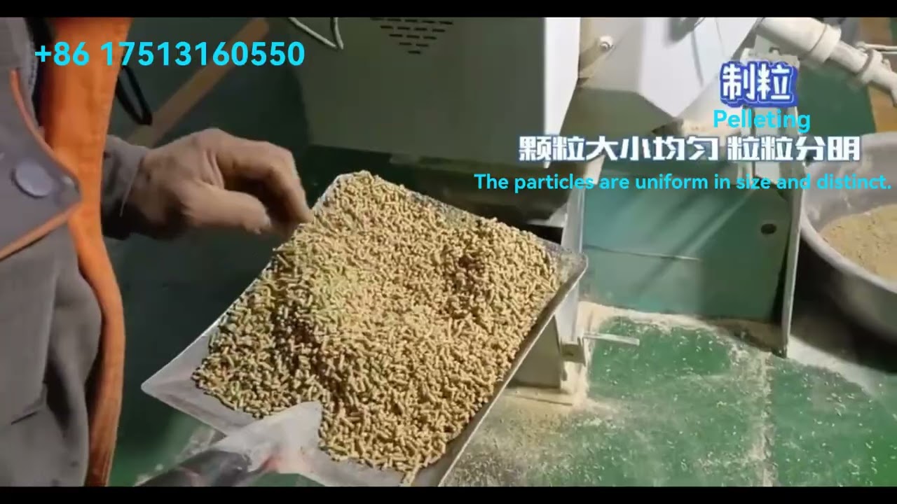 Feed production project feed mill plant