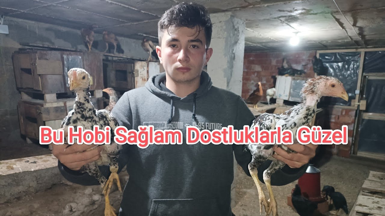 Bu Hobi Sağlam Dostluklarla Güzel. Metin Bizi Ziyarete Geldi.
