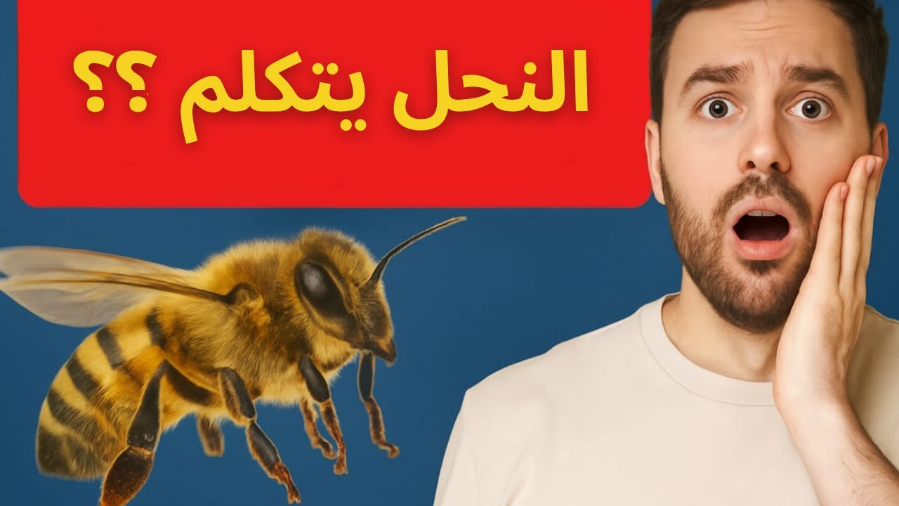 نعم، النحل يتكلم! وستُصدم كيف!😱😱