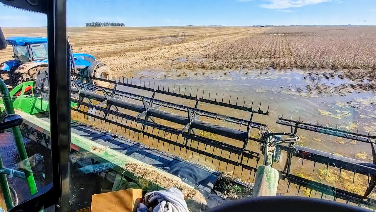 DESAFIO EXTREMO NA COLHEITA DA SOJA NO BARRO RS,CASE ,NEW HOLLAND, JOHNDEERE