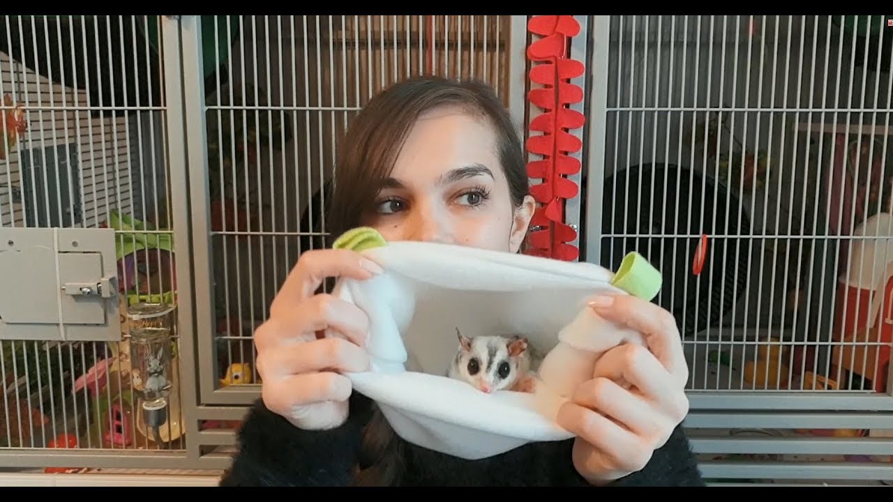 Sewing A Hidden Seam Pouch For Sugar Gliders