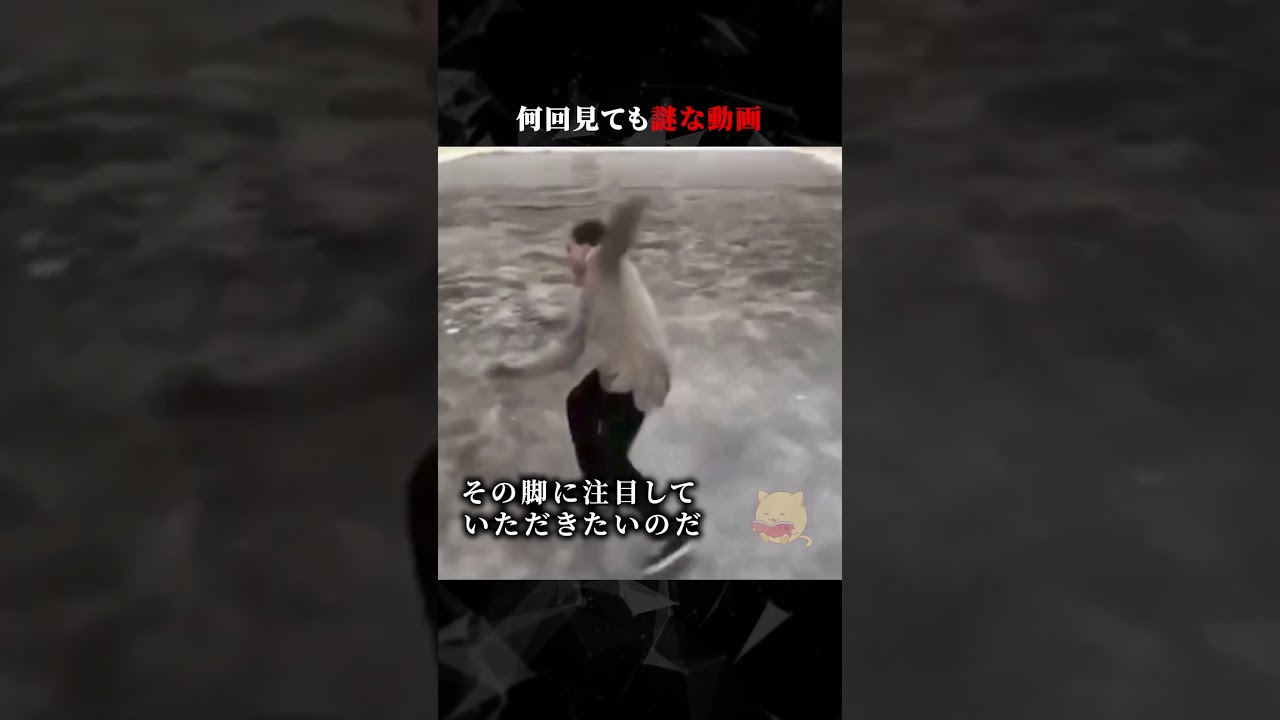 何回見ても謎な動画　#ホラー #horror #不思議
