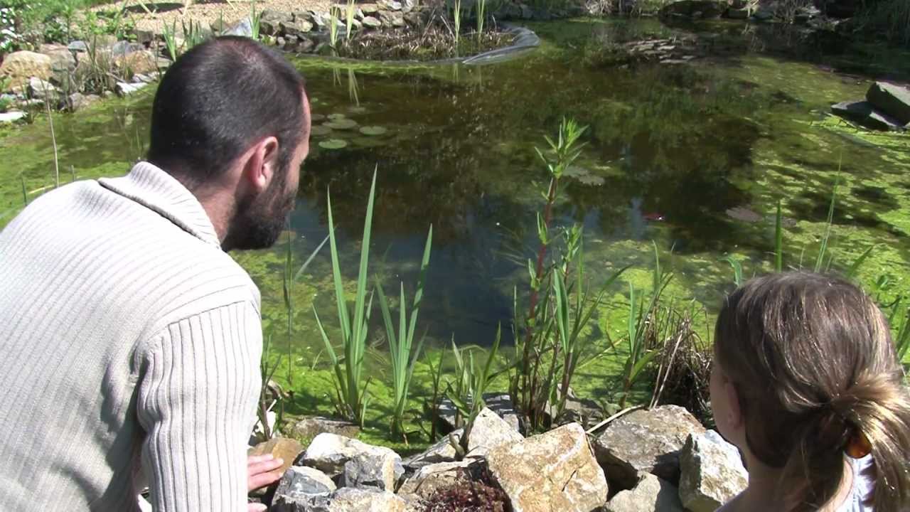 La mare au jardin