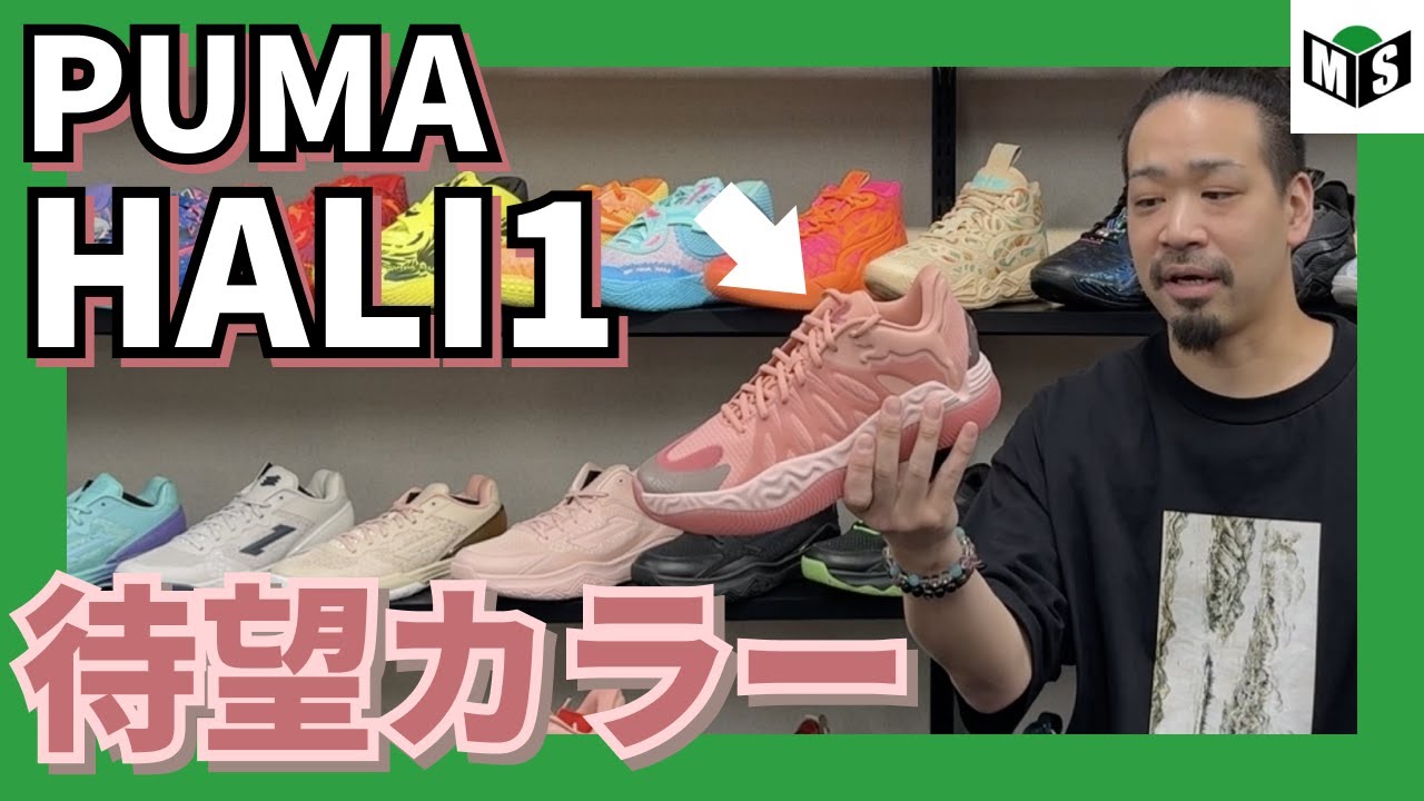 🏀PUMA HALI1👟をご紹介します #バッシュ