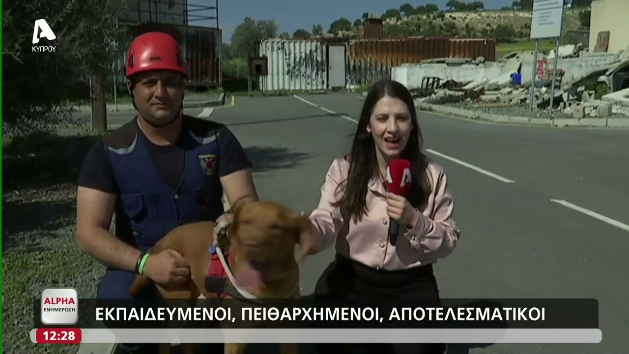 Ιδού ο Άλαν, ο τετράποδος διασώστης της ΕΜΑΚ που έζησε τη φρίκη του Λιβάνου | AlphaNews Live