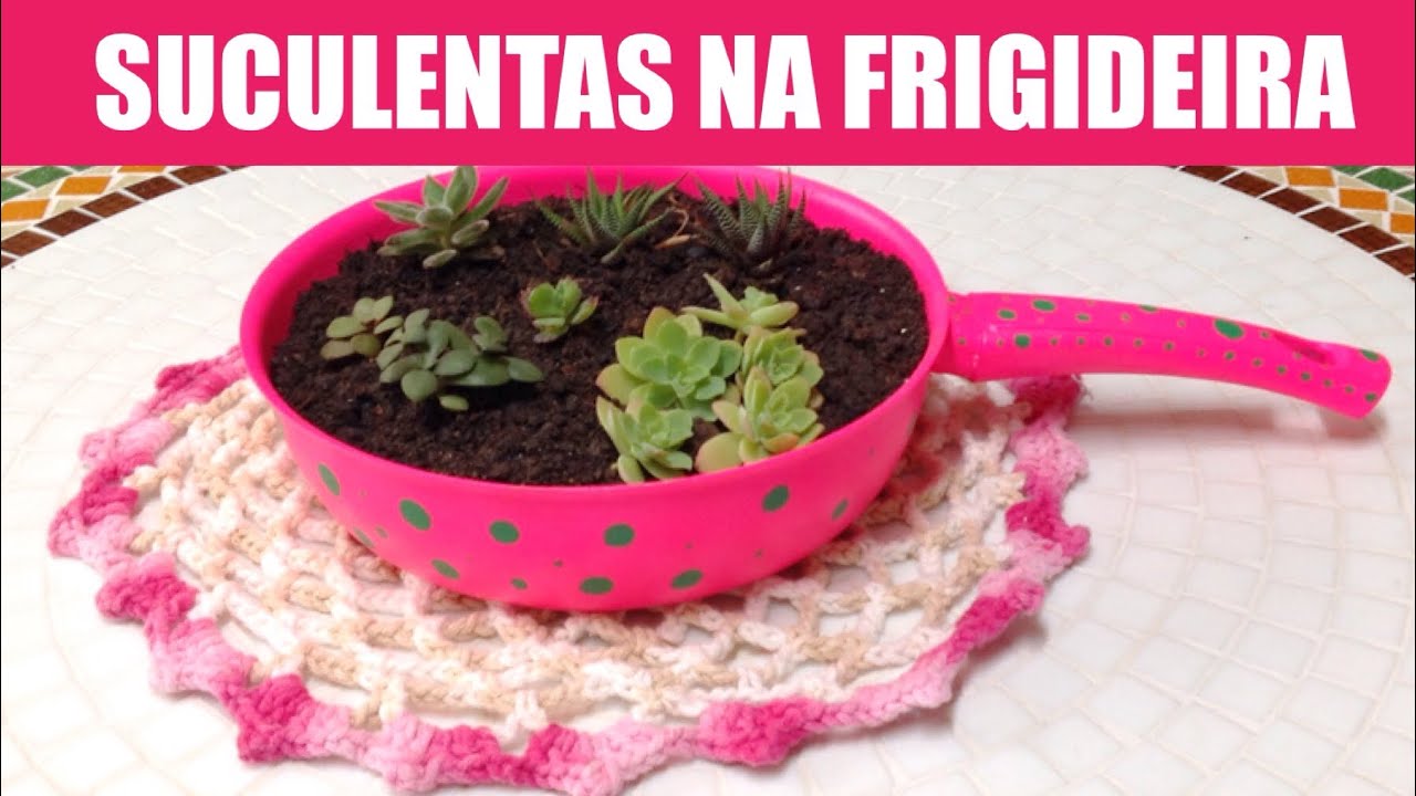 LINDO jardim de SUCULENTAS +Chalk Paint na frigideira