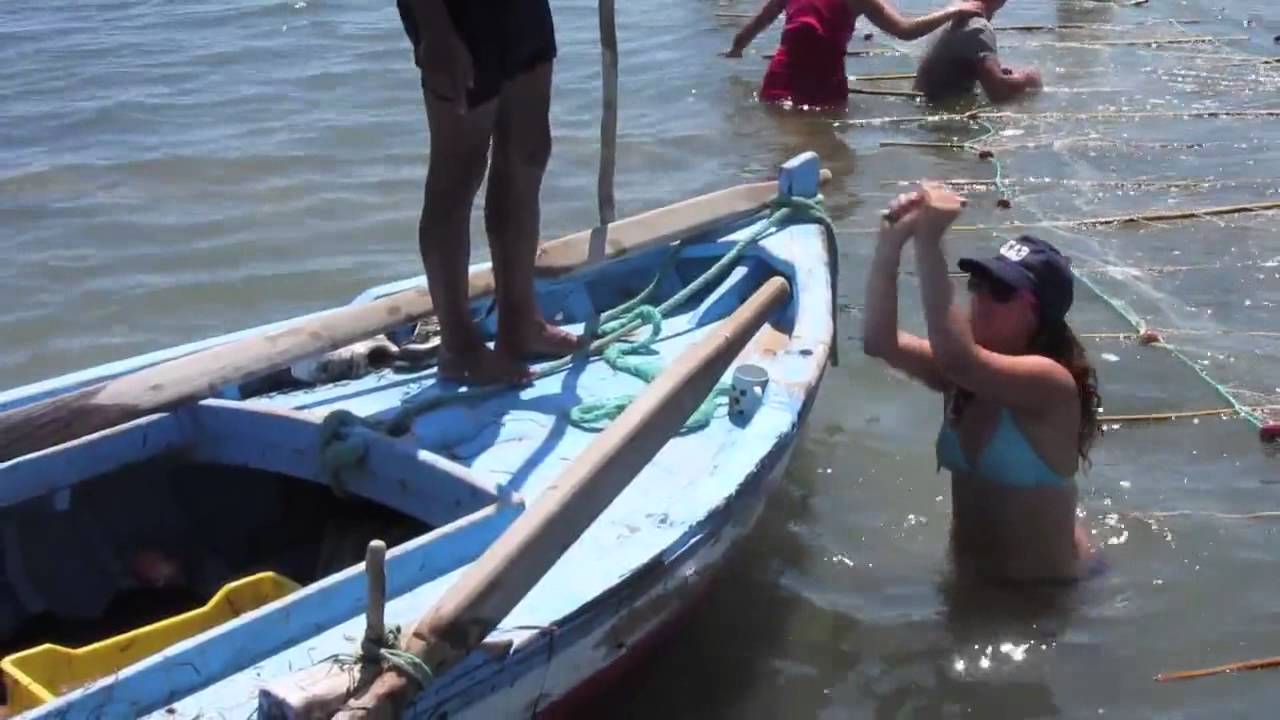 Fishing in kerkennah