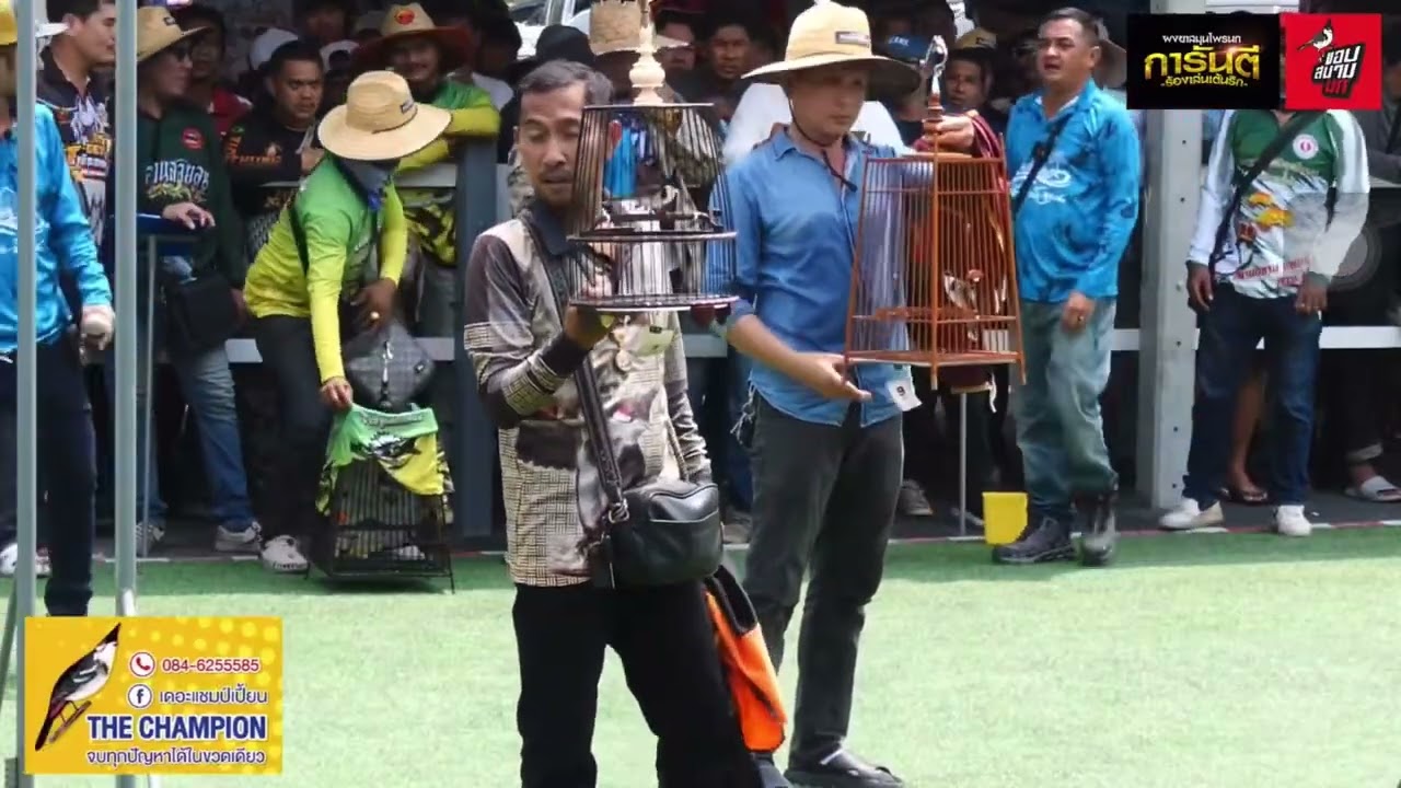(ไฮไลท์)ชิงที่1.แข่งนกกรงหัวจุกสนามบ้านน้ำเลน จังหวัดฉะเชิงเทรา