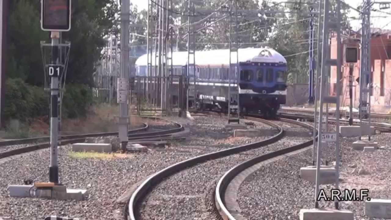 TER Pruebas en linea