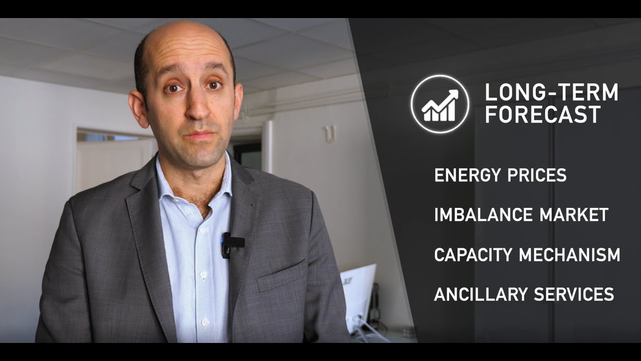 Long term electricity and ancillary service price forecast tailored for energy storage