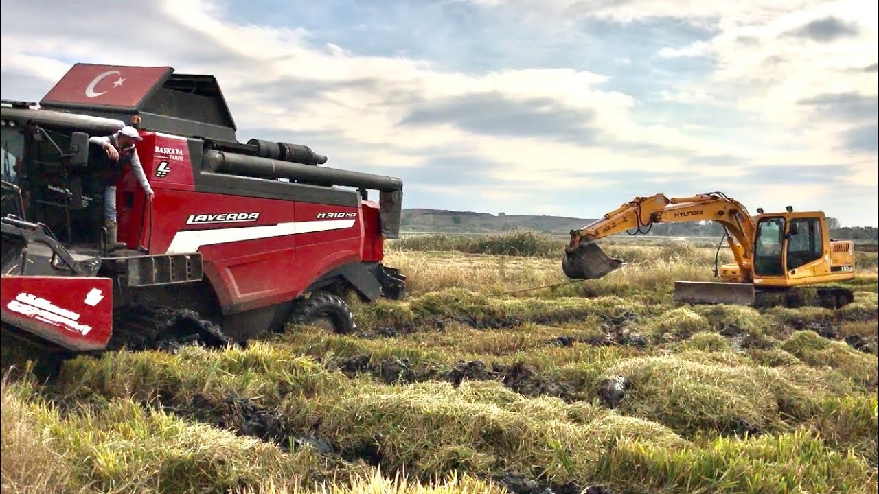 VLOG #5 | KURUTMA GÜNLÜKLERİ (LAVERDA M310 MCS-NEW HOLLAND TR6.120-CASE JX110-MASSEY FERGUSON 5440)