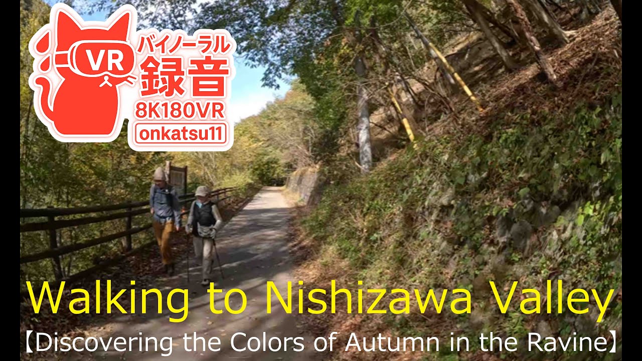 🍁 [Walking to Nishizawa Valley — Discovering the Colors of Autumn in the Ravine (8K VR180)]