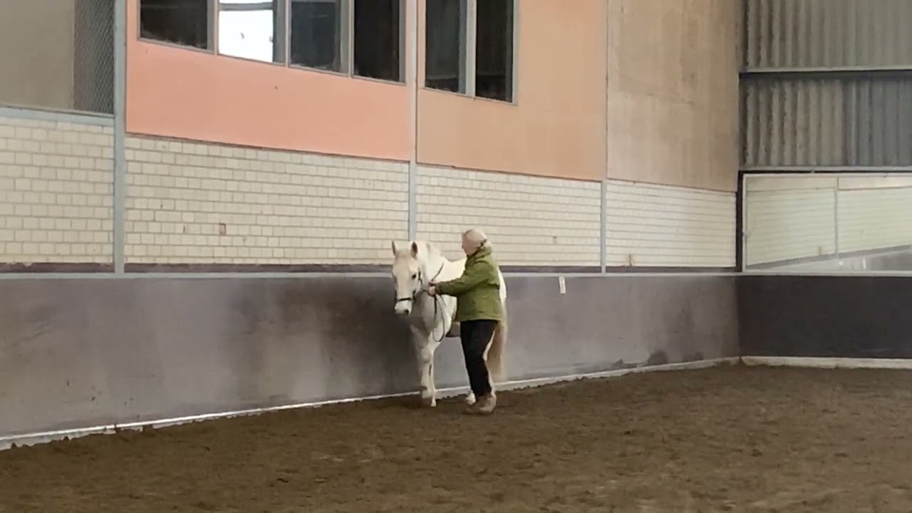 Bartha horsetraining