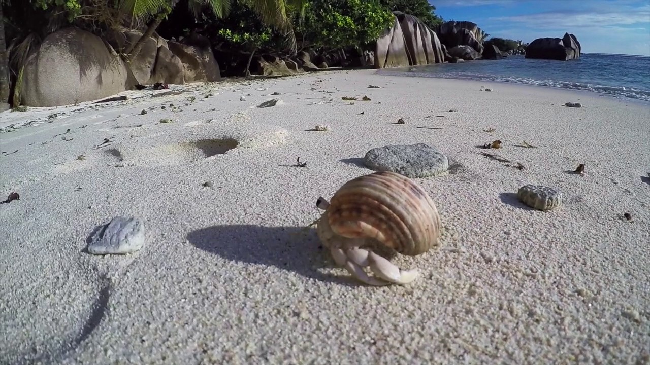 SEYCHELLES - GOPRO HERO4 HD