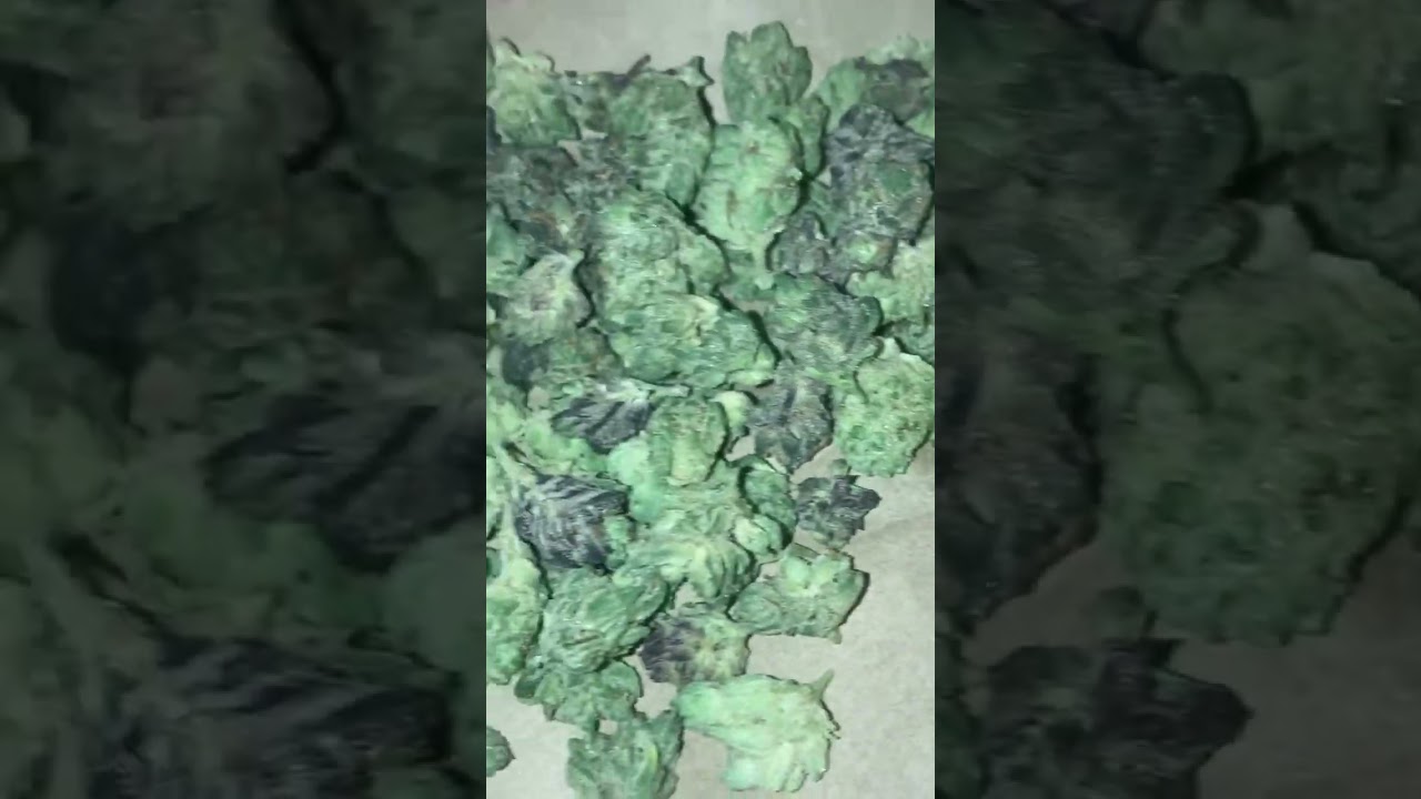 Connected pheno salad premium small flower half ounce #penjamin #14grams