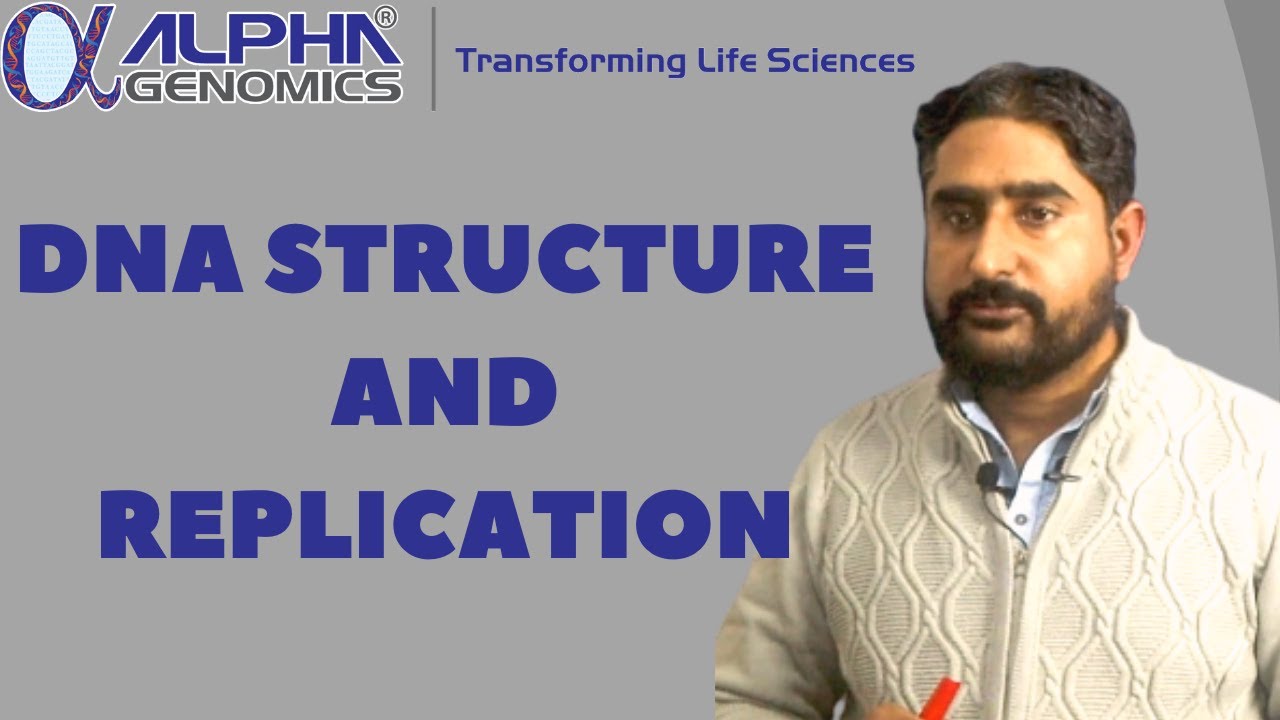 DNA Structure and Replication