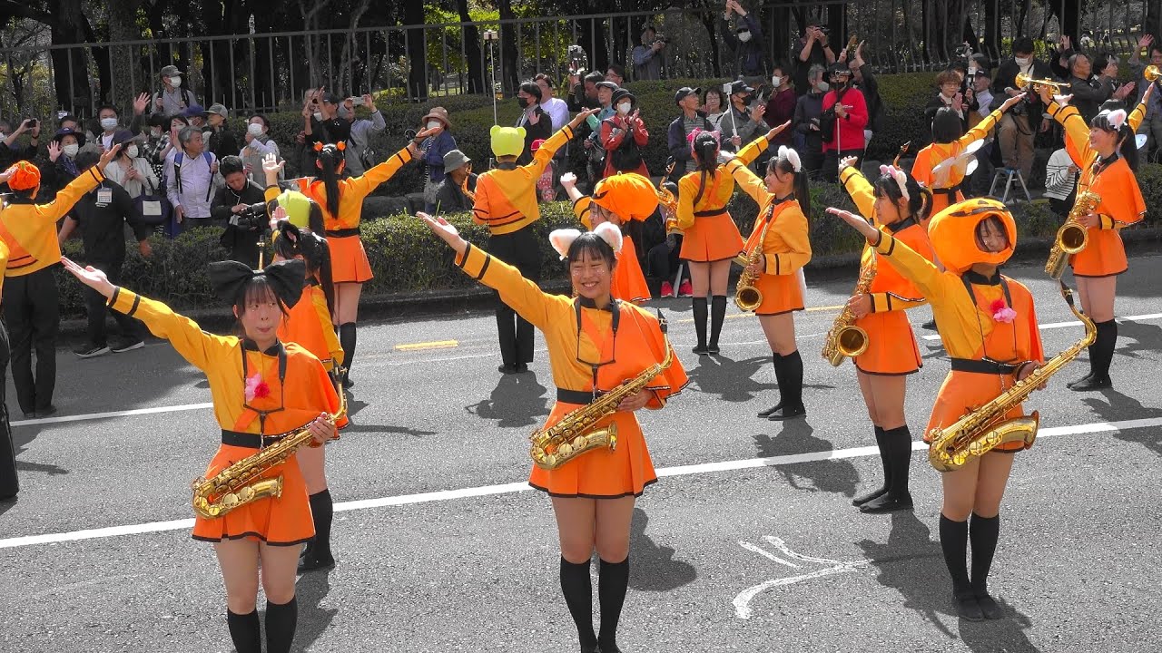 Happy Halloween!! Kyoto Tachibana SHS Band / MARCHING CARNIVAL IN BEPPU 2023 SCENE1（Oct 29, 2023）