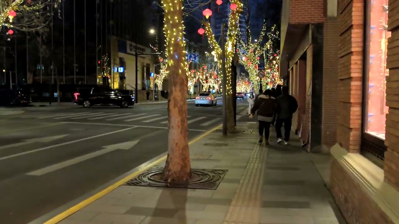 漂亮的上海