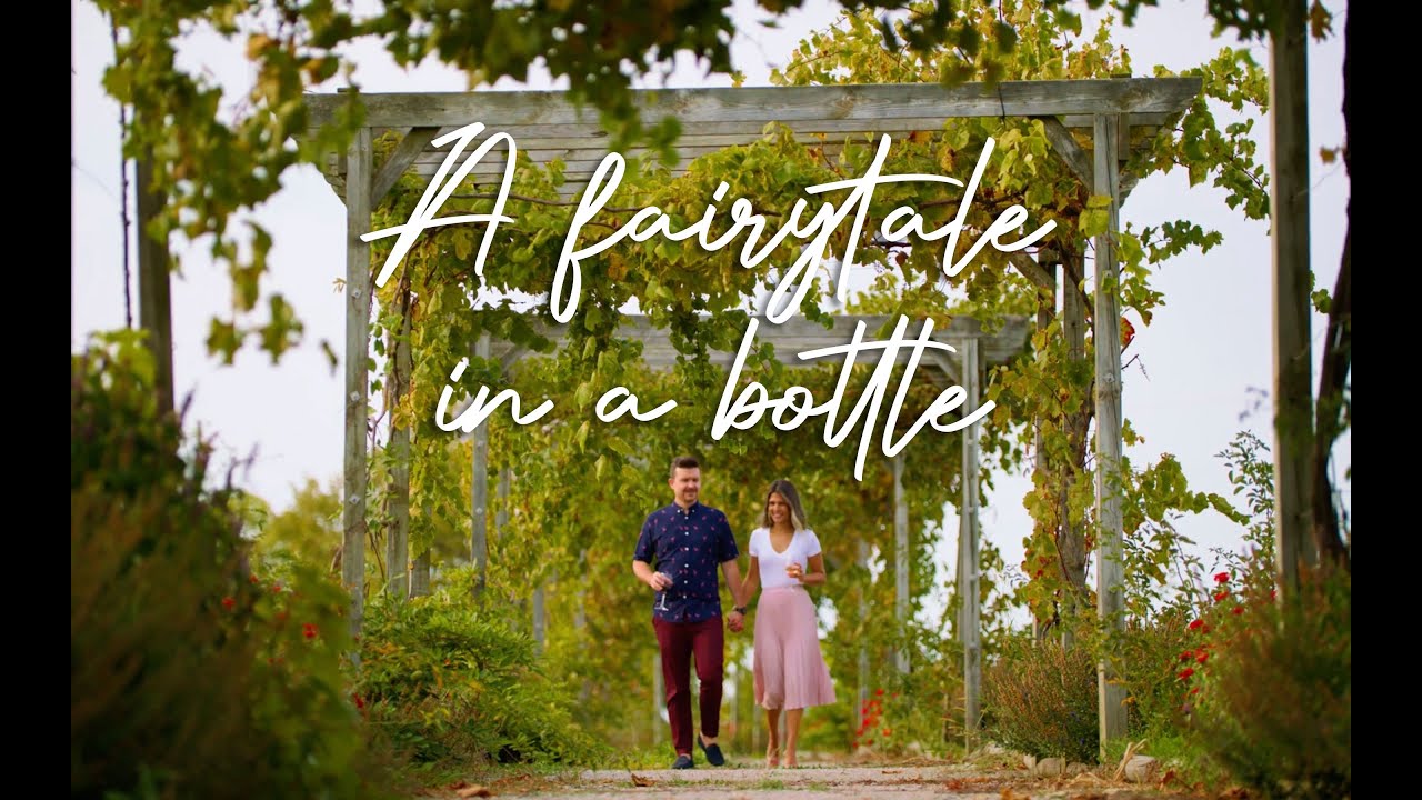 A Fairytale in a Bottle: The Story of Pelee Island Through Our Wines