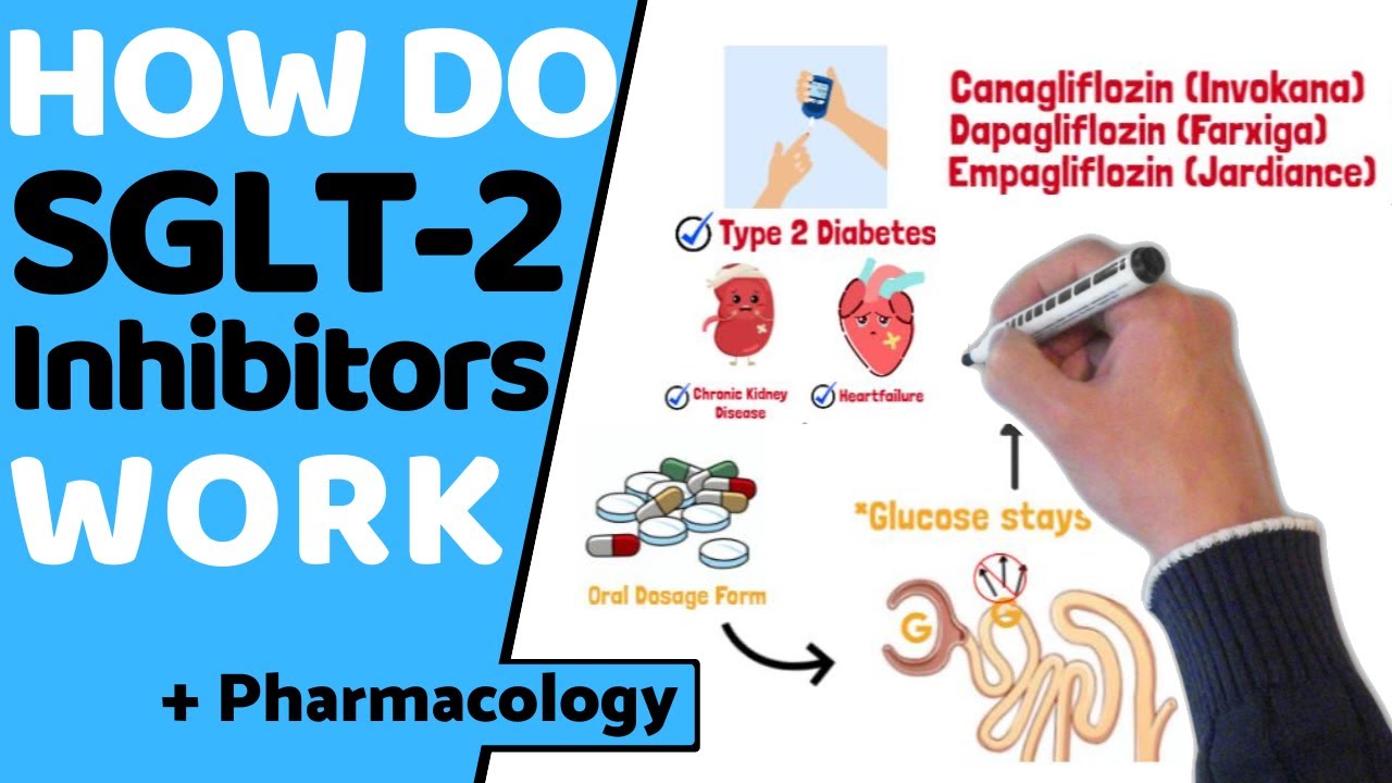 Как работают ингибиторы SGLT2? (EASY Pharmacology)