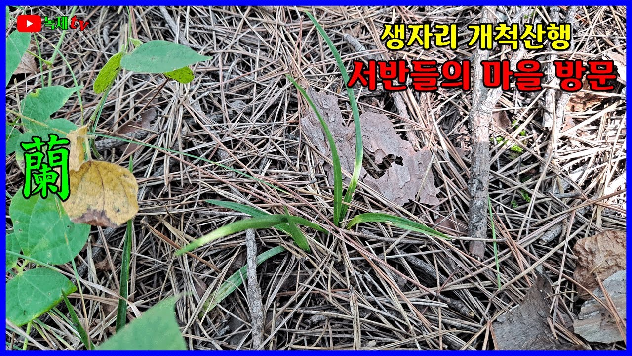 생자리 개척 산행에서 서반을 만났습니다.