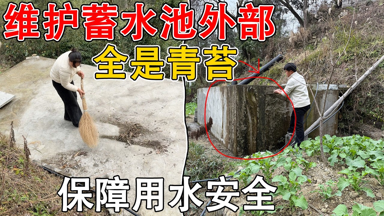 冬季干旱！李俊的蓄水池成了全村的希望，夫妻俩帮忙维护水池外部  铲掉青苔和泥沙，保障用水安全！！！