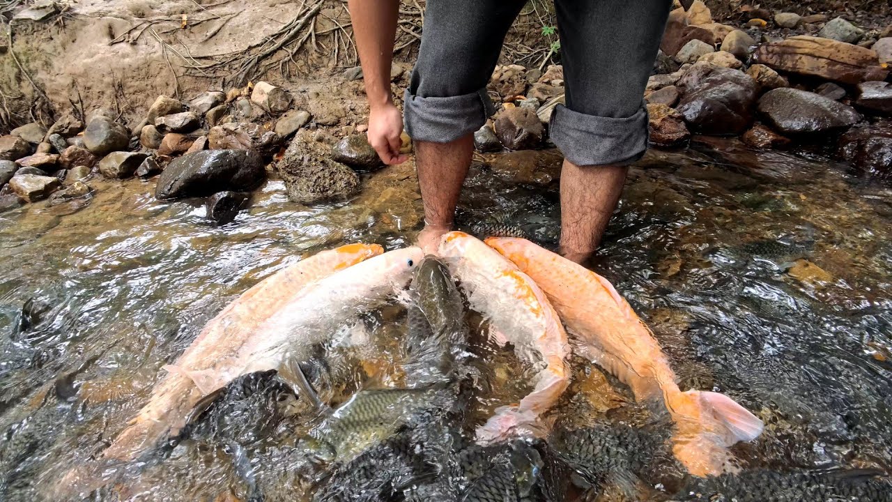 Traveling Vlog || Bombon Kg, Marakau, Fish Spa Day 2