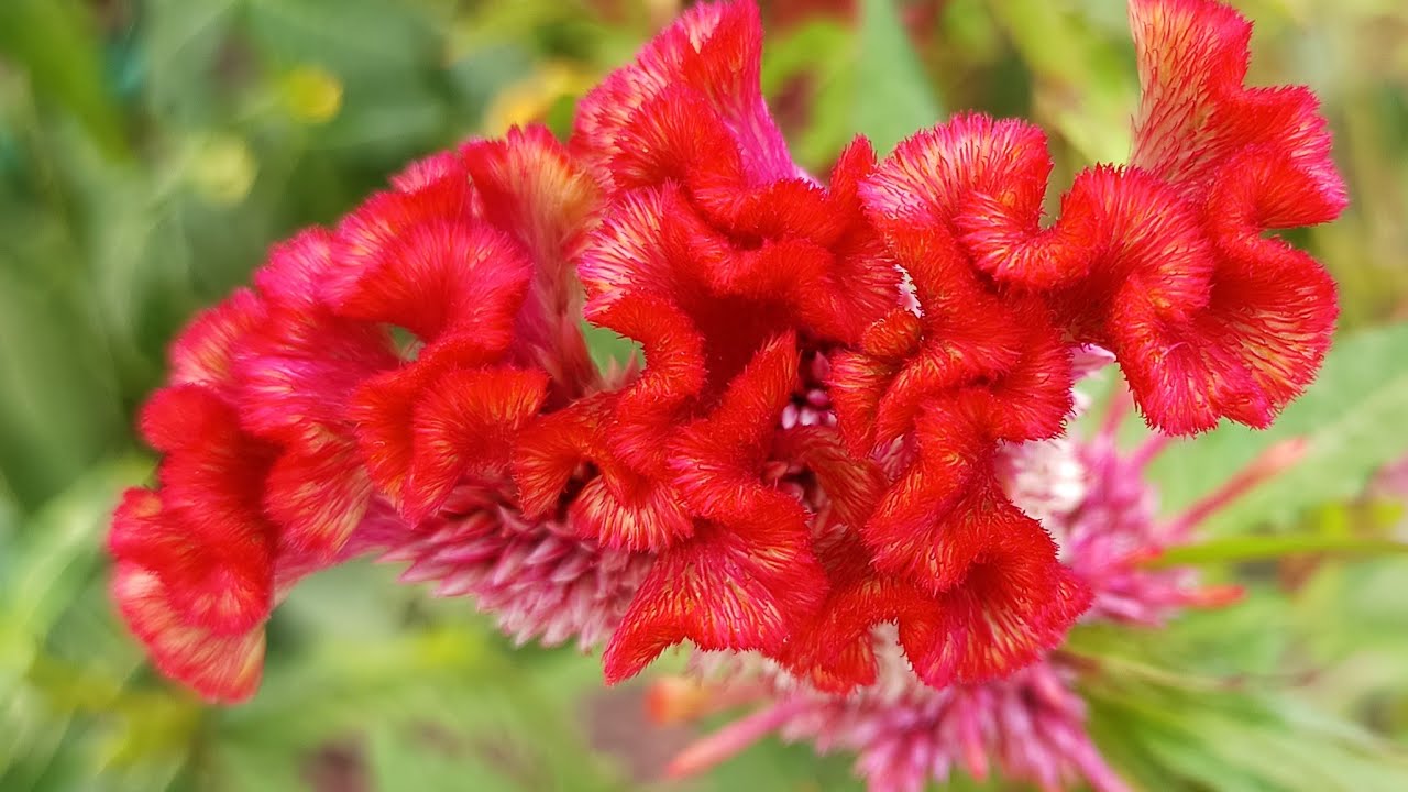 welcome to my live stream 🙏