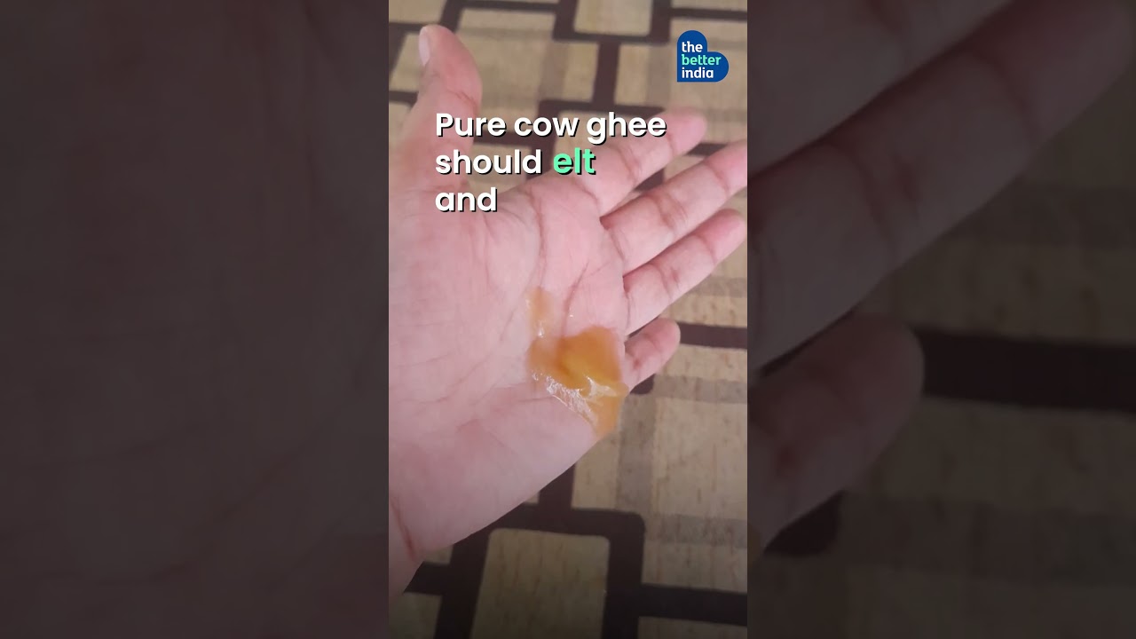 Fake Ghee? How To Check Purity at Home #shorts #foodsafety #consumer