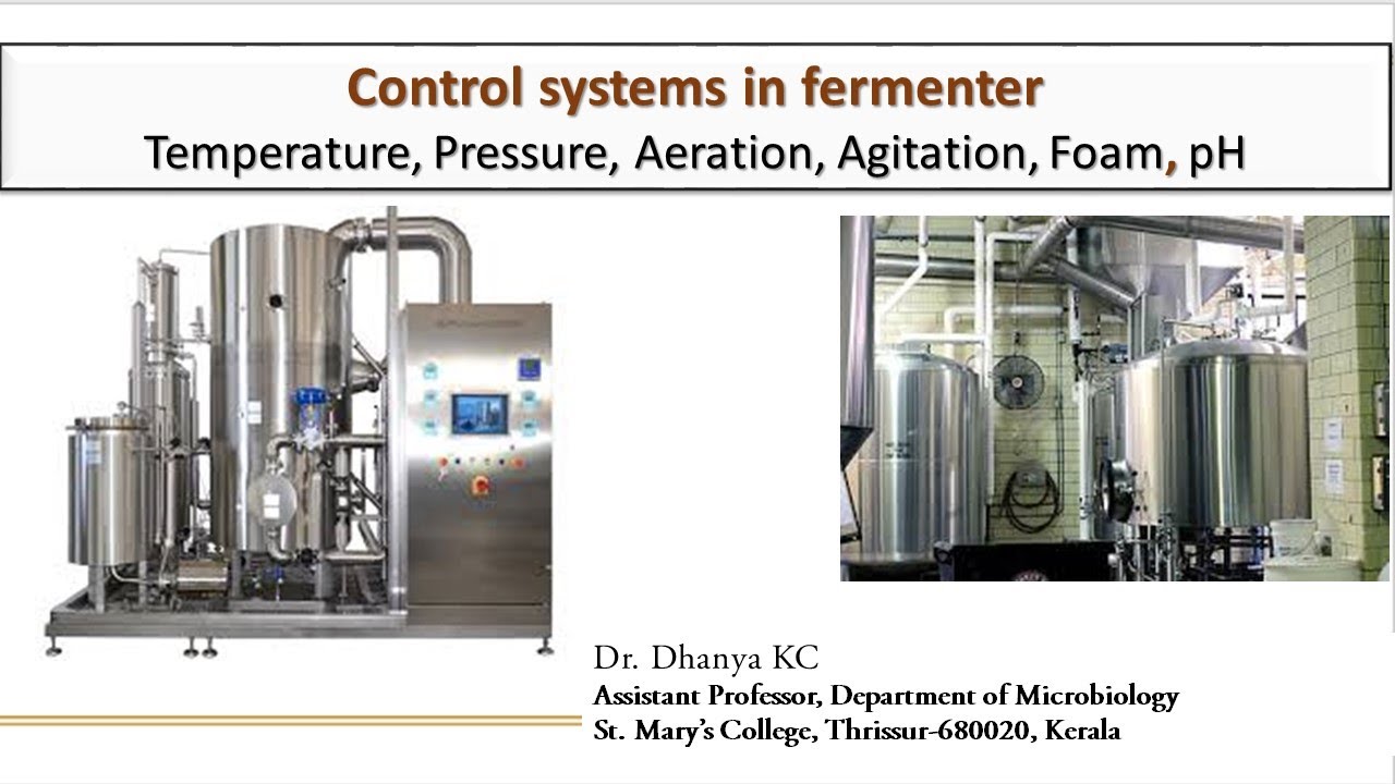 Control systems in fermenter