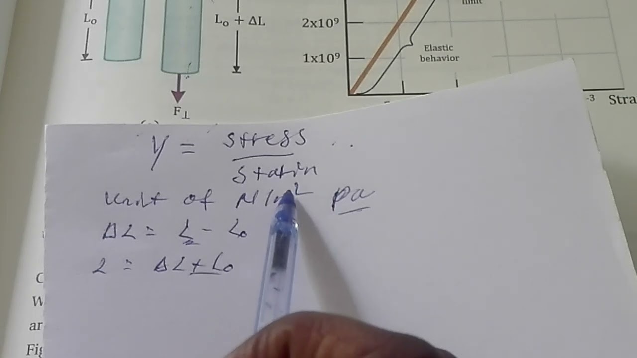 grade 10 physics unit 3    3.4 the young modulus