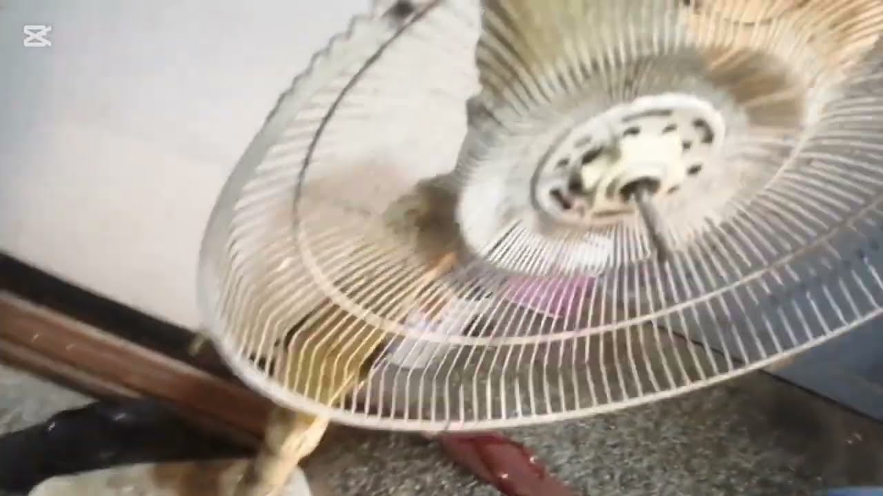 Cleaning my MD stand fan