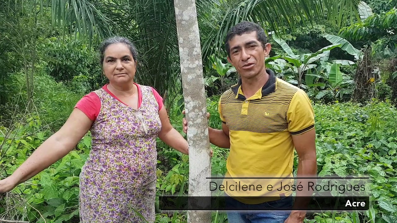 V&iacute;deo Rede Artesol