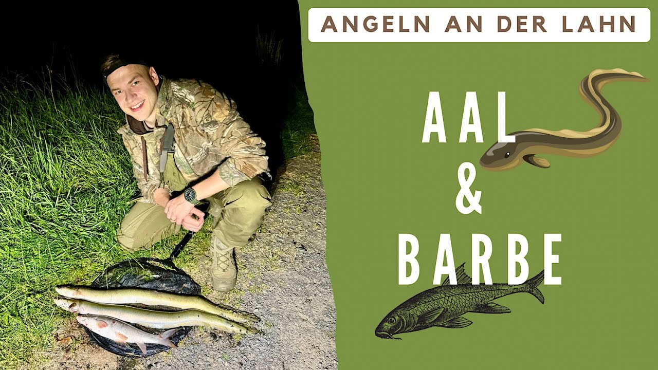 Aal und Barbe angeln an der Lahn - 3 Bisse in kürzester Zeit!