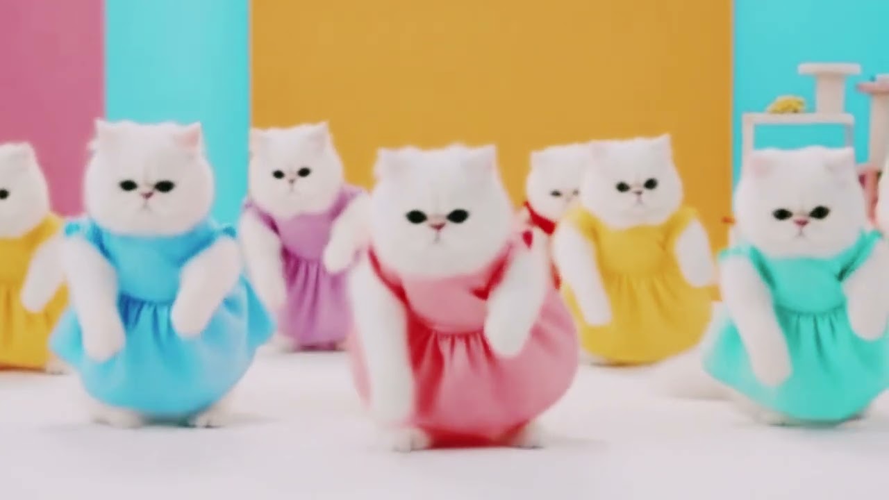 Funny kittens and cats hilarious fun dance