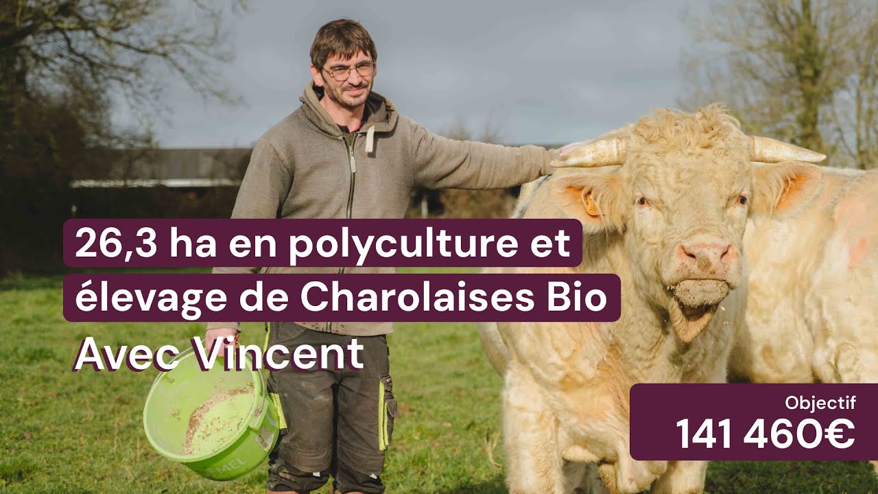 Agriculture biologique et vente directe : le projet de ferme de Vincent en Centre-Val de Loire