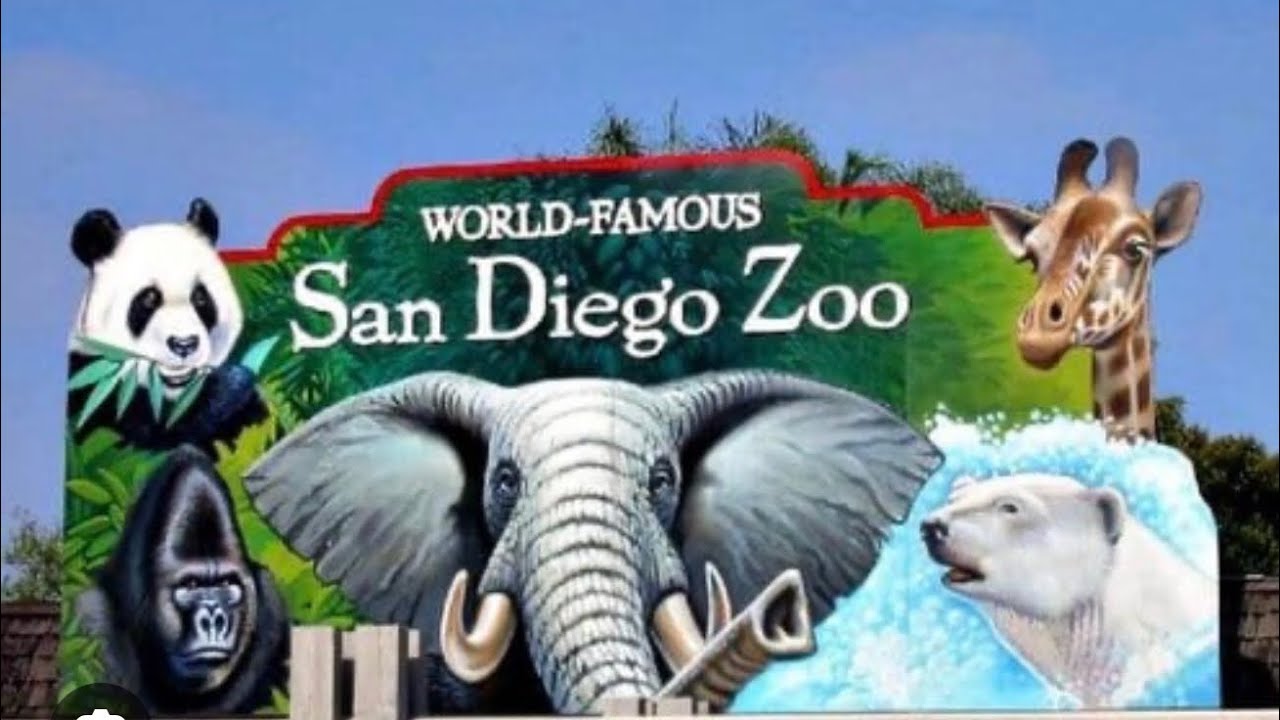 Voted #1 San Diego walk thru tour let’s see why! 