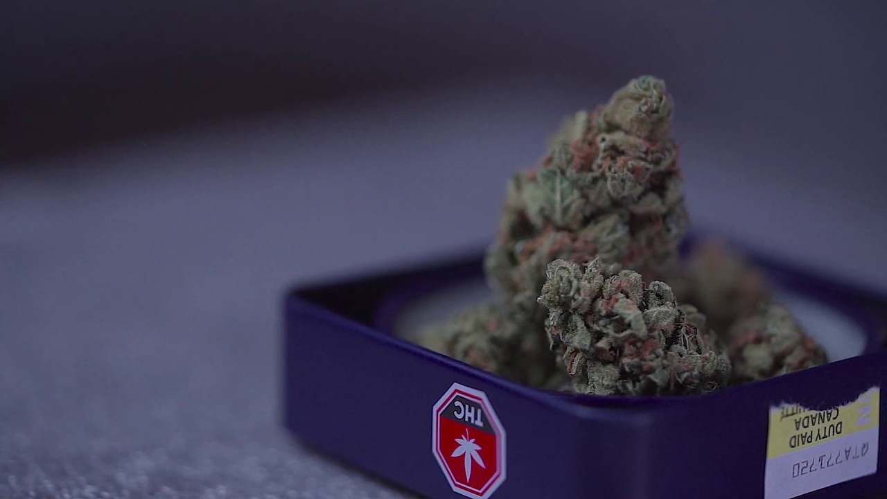 Lemon Skunk - DNA Genetics - Canadian Legal Cannabis