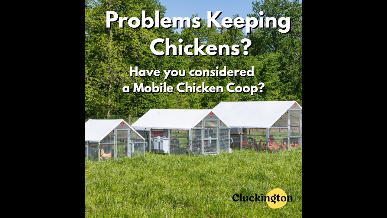 Alumi Coop Chicken Tractors - Solving Chicken Keeping Problems (Incl Fox Hotwire Kit!) (1:1)