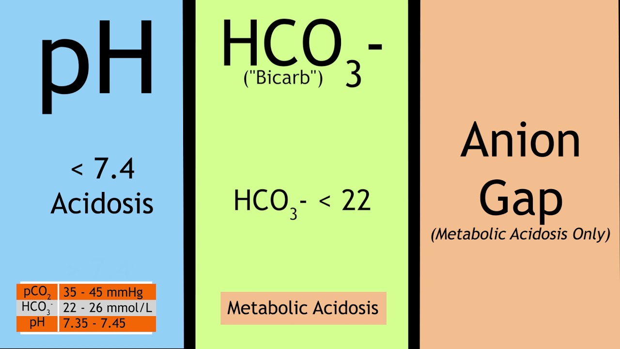 Quick Overview of Acid Base Disorders