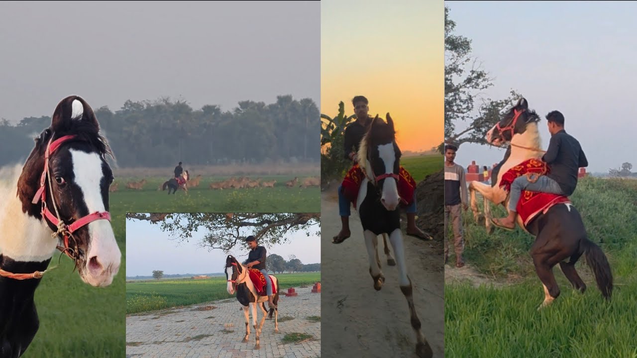Aaj horse riding kiye bahut teej😱ghora🐎 dour raha tha aur घौरपराश ko bahut 😱dauriye hm log ghora se 