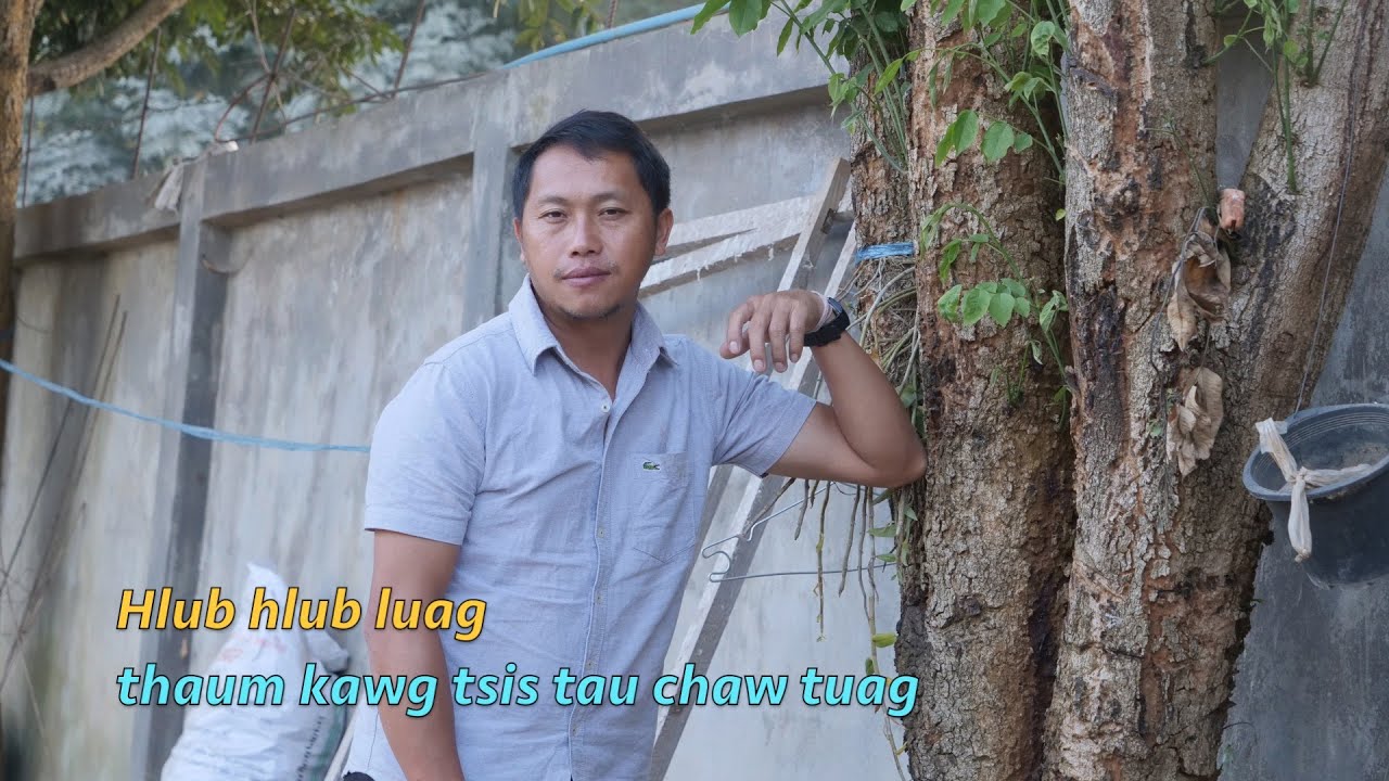Hlub hlub luag thaum kawg yus tsis tau chaw tuag 11/18/2025