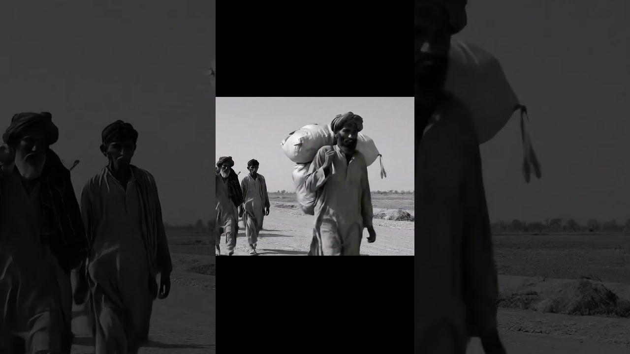14th August 1947 &ndash; The Great Migration to Pakistan
