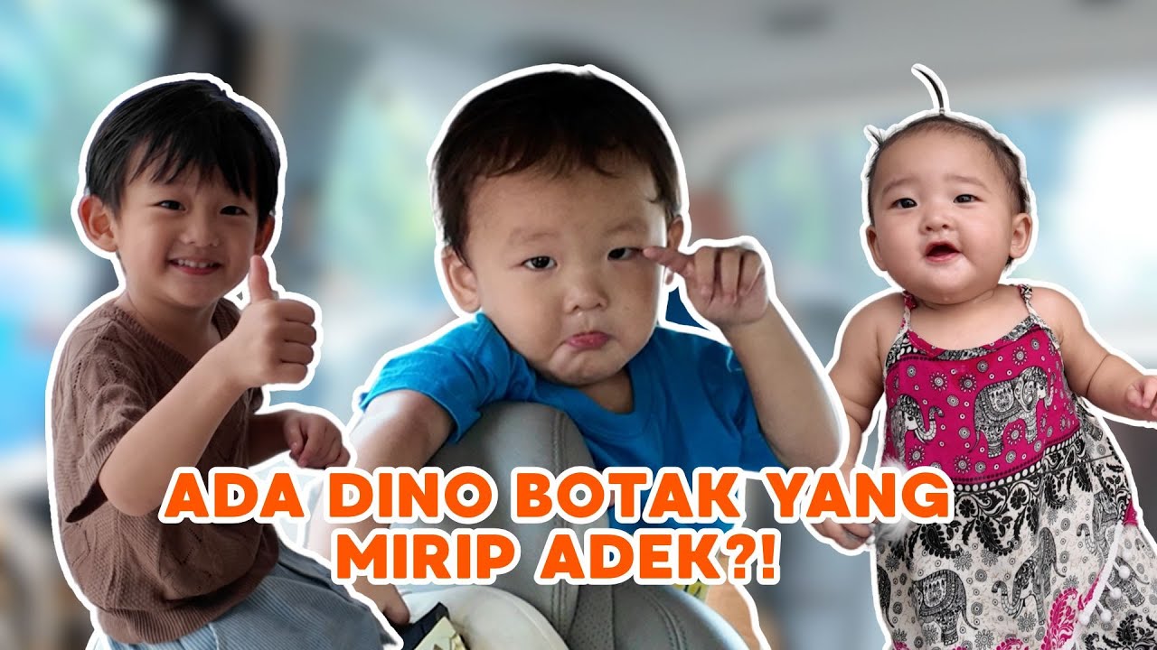 KATANYA SIH DINO INI MIRIP ADEK?!