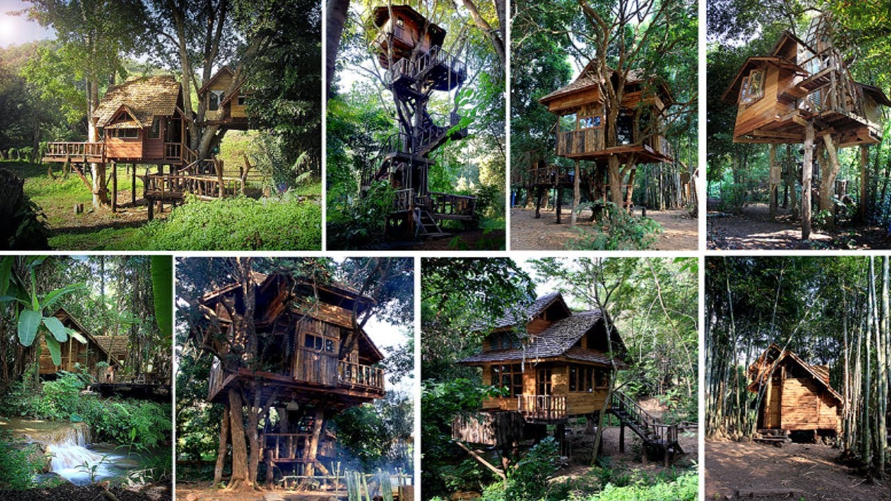 Cool Treehouse Design Ideas To Build