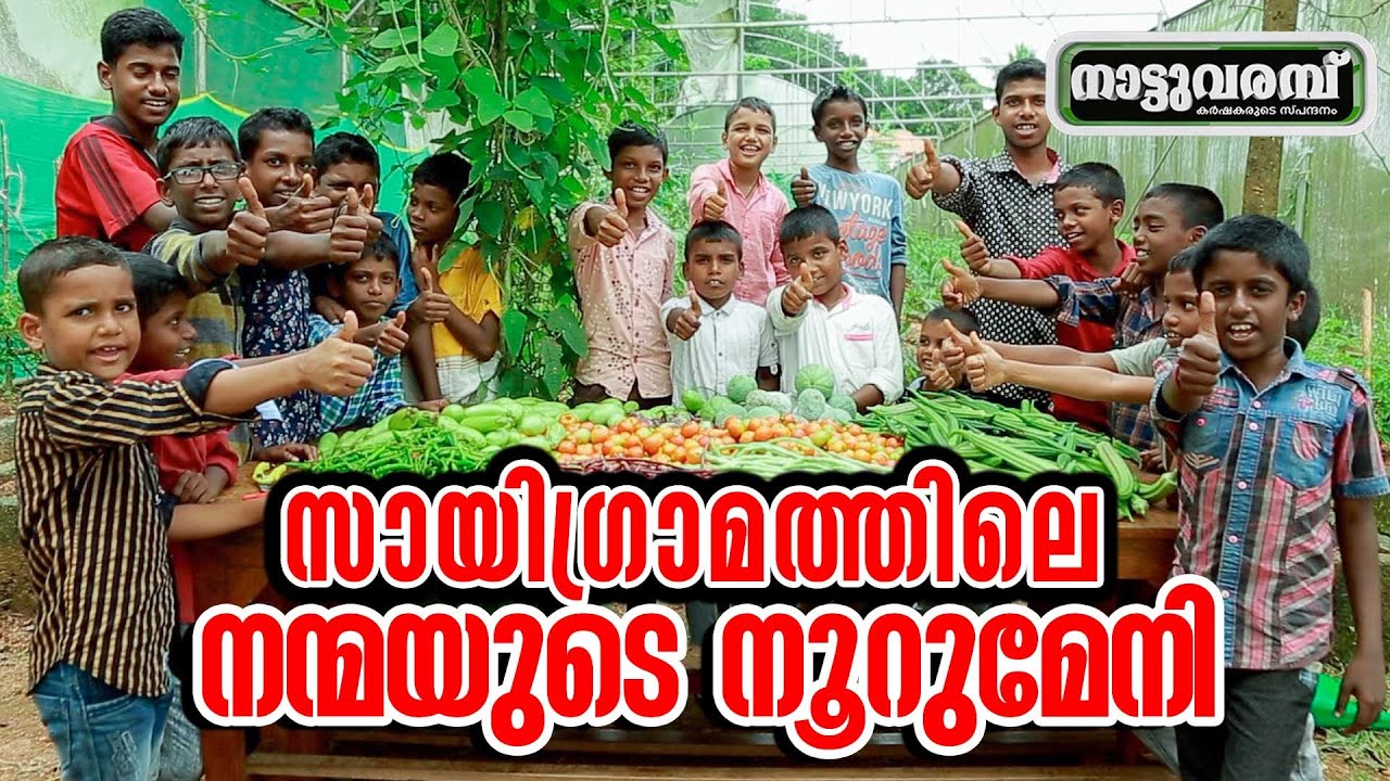 സായിഗ്രാമത്തിലെ നന്മയുടെ നൂറുമേനി  | NATTUVARAMBU EP 254 | Saigramam Sri Sathya Sai Orphanage Trust