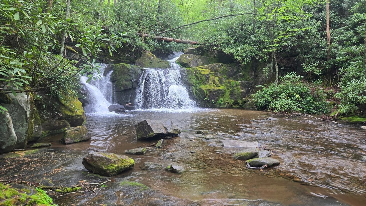 Indian Flats Falls via Middle Prong Trail, Great Smoky Mountains National Park