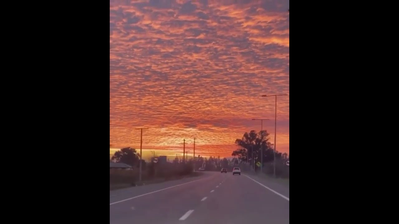 Beautiful Sunset || Whatsapp Status ||