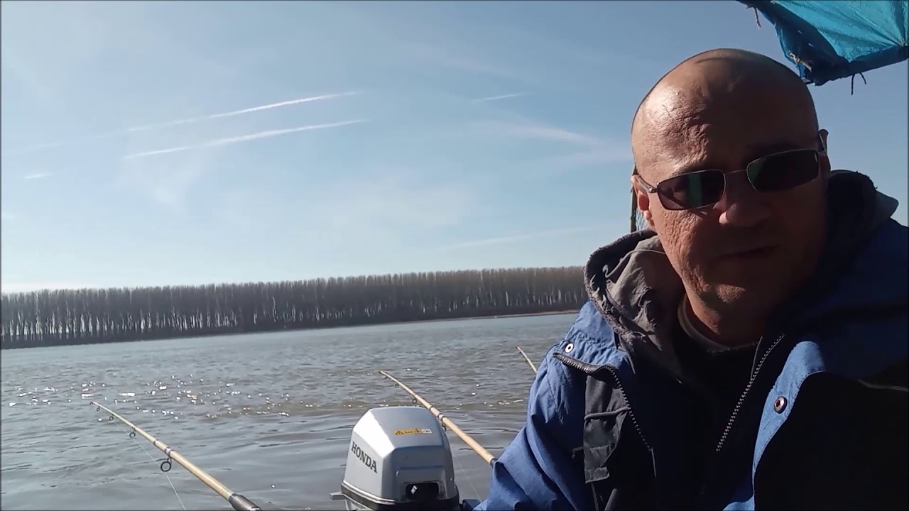 pecanje šarana na divljim vodama