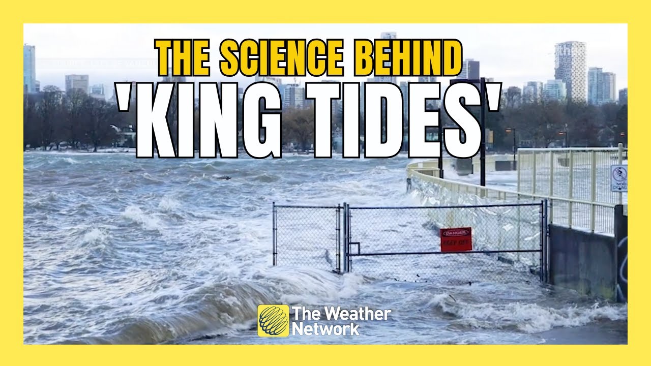 What Are &lsquo;King Tides&rsquo; and How Do They Impact the Canadian Coastline